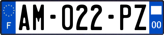 AM-022-PZ