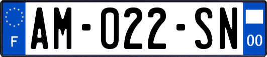 AM-022-SN