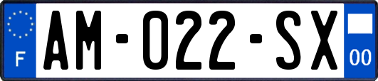 AM-022-SX