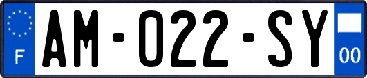 AM-022-SY