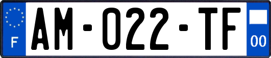 AM-022-TF