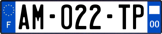 AM-022-TP