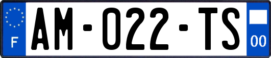 AM-022-TS