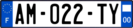 AM-022-TY