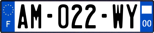 AM-022-WY