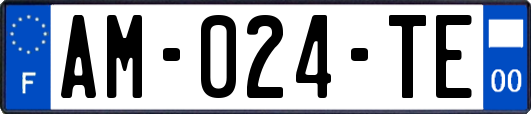 AM-024-TE