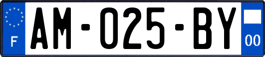 AM-025-BY