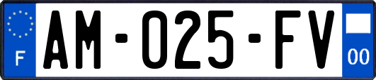 AM-025-FV