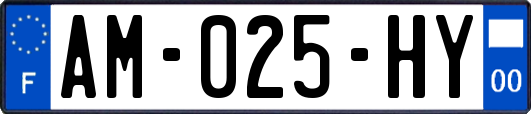 AM-025-HY