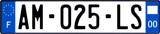 AM-025-LS