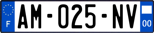 AM-025-NV