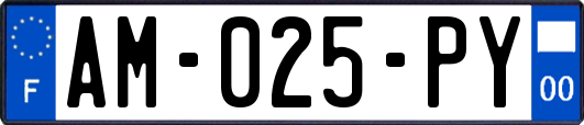 AM-025-PY