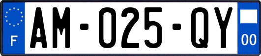 AM-025-QY