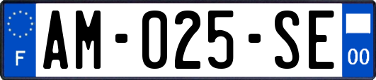 AM-025-SE