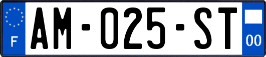 AM-025-ST