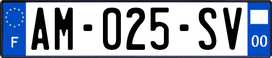 AM-025-SV