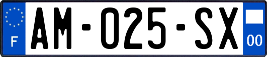 AM-025-SX