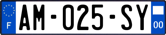 AM-025-SY