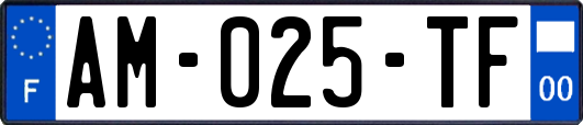 AM-025-TF