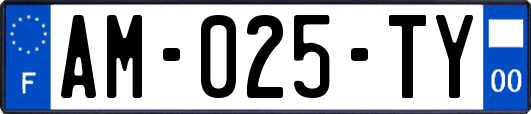 AM-025-TY