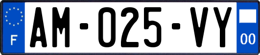 AM-025-VY