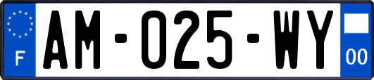 AM-025-WY