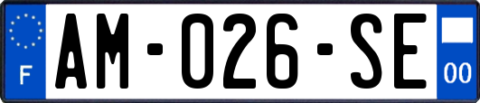 AM-026-SE