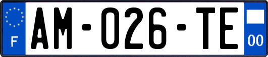 AM-026-TE