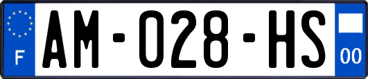 AM-028-HS