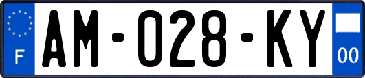 AM-028-KY