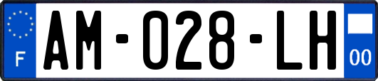 AM-028-LH