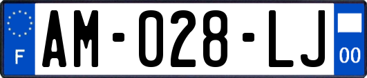 AM-028-LJ