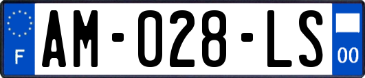 AM-028-LS