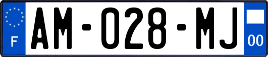 AM-028-MJ