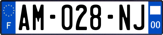 AM-028-NJ