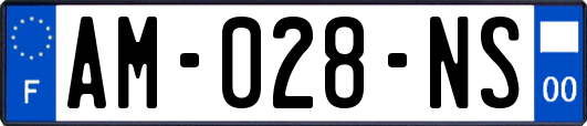 AM-028-NS