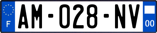 AM-028-NV