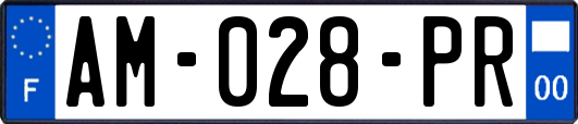 AM-028-PR