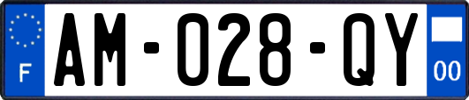 AM-028-QY