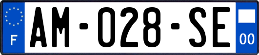 AM-028-SE