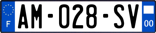 AM-028-SV