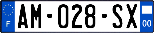 AM-028-SX