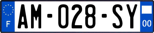 AM-028-SY