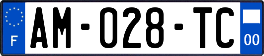 AM-028-TC