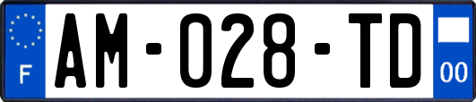 AM-028-TD