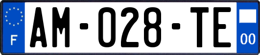 AM-028-TE