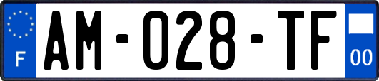 AM-028-TF