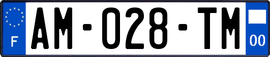 AM-028-TM