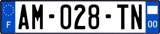 AM-028-TN