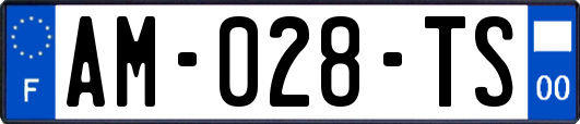 AM-028-TS